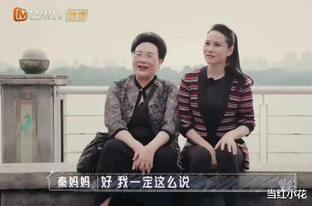 张智霖|张智霖,另一个版本的伊能静