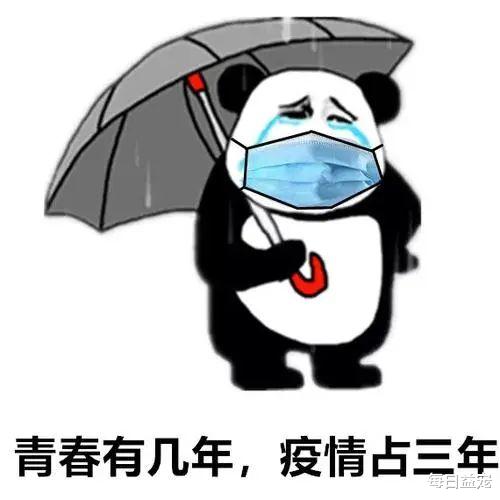 给力！狗狗独自被关天台，雨中不断嚎叫求救，男子冒雨爬梯搭救