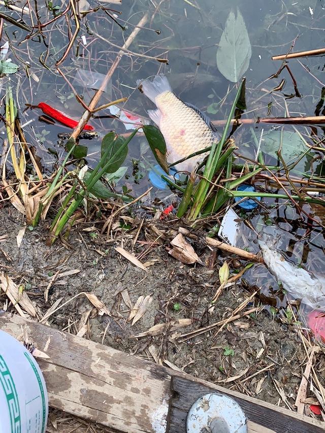 饵料|走心的饵料，果然符合“大家伙”的胃口