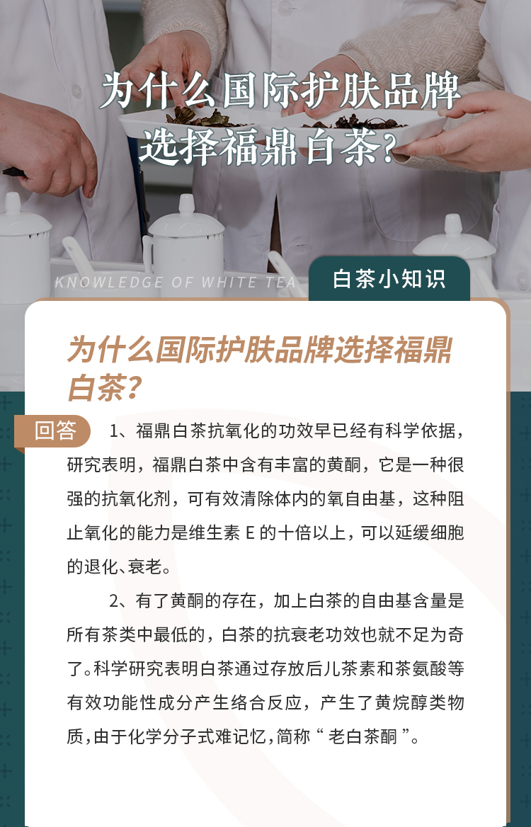 为什么国际护肤品牌选择福鼎白茶?