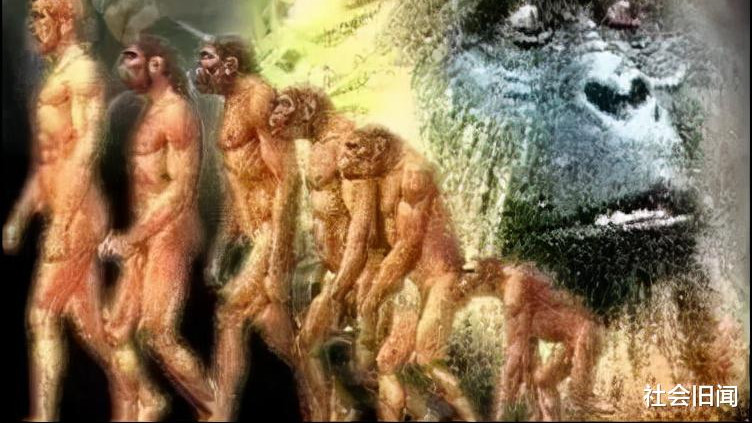 是谁创造了人类，人类的共同祖先又是谁，部分科学家怀疑是外星人