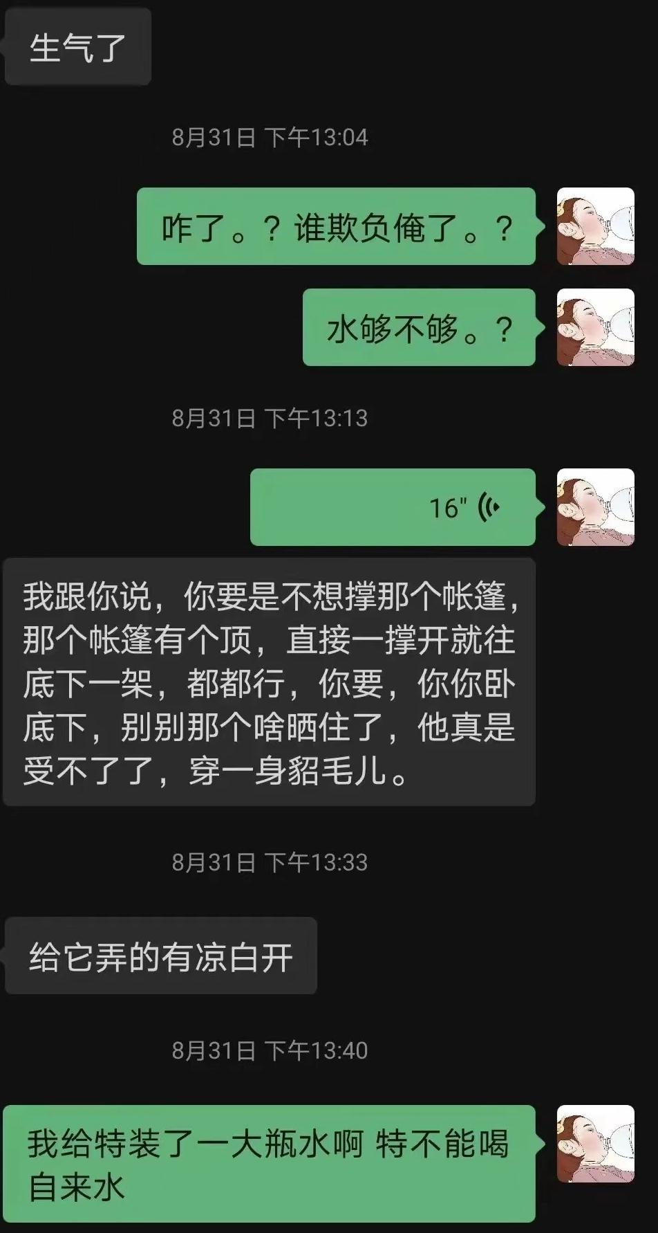 宠物医院|网友称爱犬在剧组拍摄离奇死亡，满嘴泥沙跟血，剧方回应被批凉薄