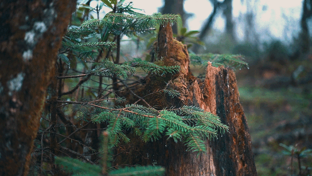|别再喊热了!这个被央视疯狂点赞的避暑秘境,18℃!爆凉快!
