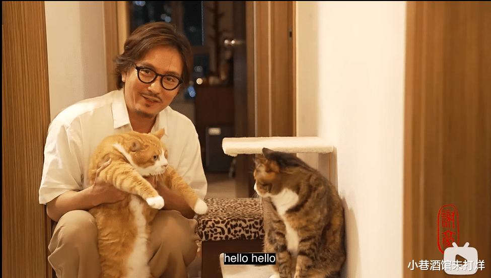 男神|男神们的最终归宿是演老头？