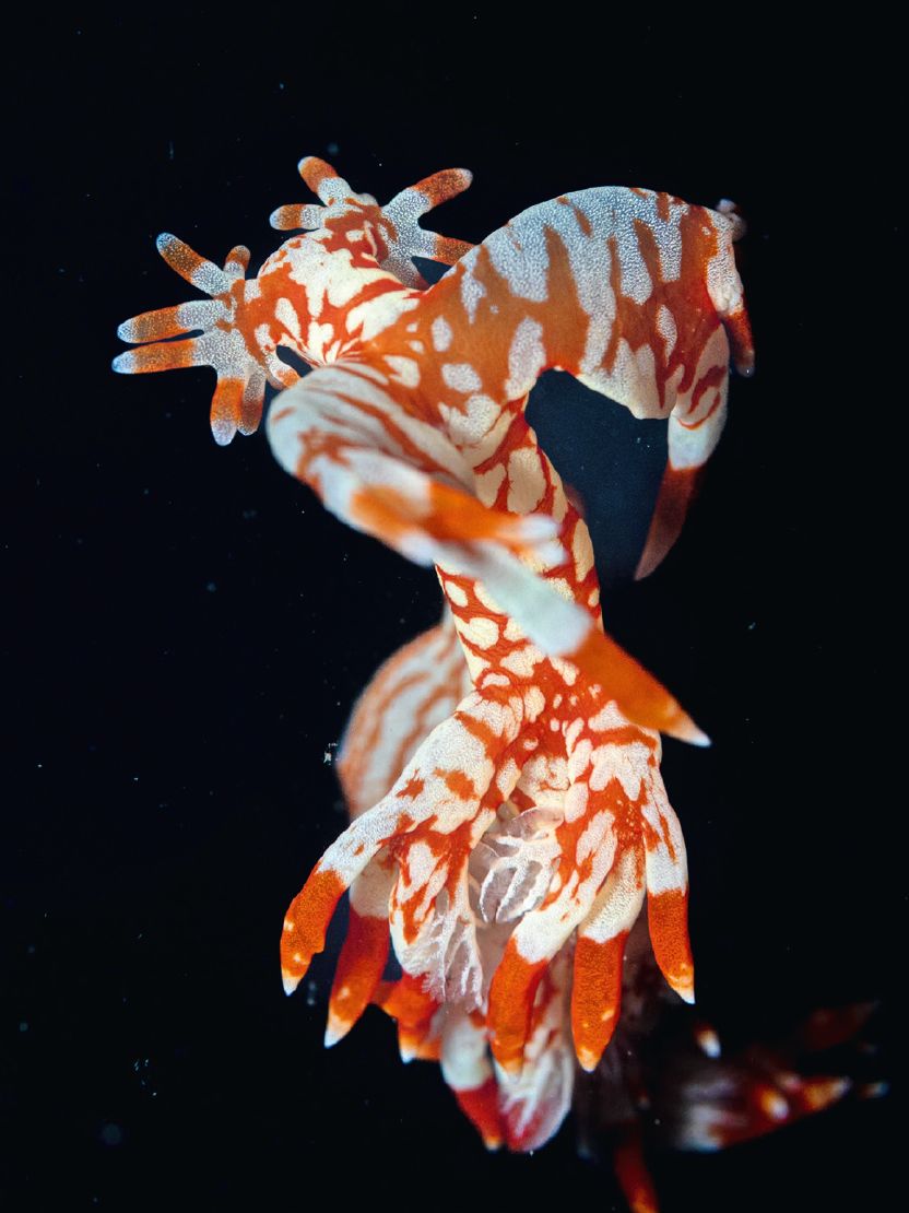 海岛|去海岛只想着游泳？太浪费了