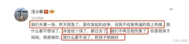 大S|大S否认与小S吸毒，强调从未婚内出轨，透露孩子抚养权归男方