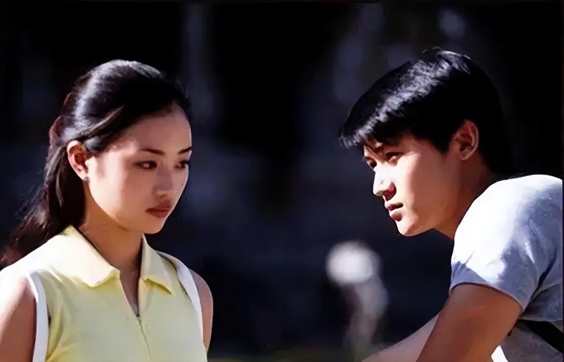 苏瑾|《永不瞑目》24年演员境况不一:女一“消失不见”了,男五号逆袭成大咖