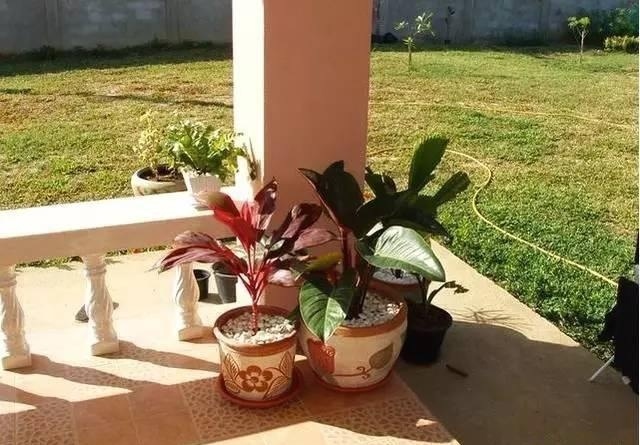 晒晒同学家农村自建别墅，厨房真是太赞了，所有人看了都眼红！