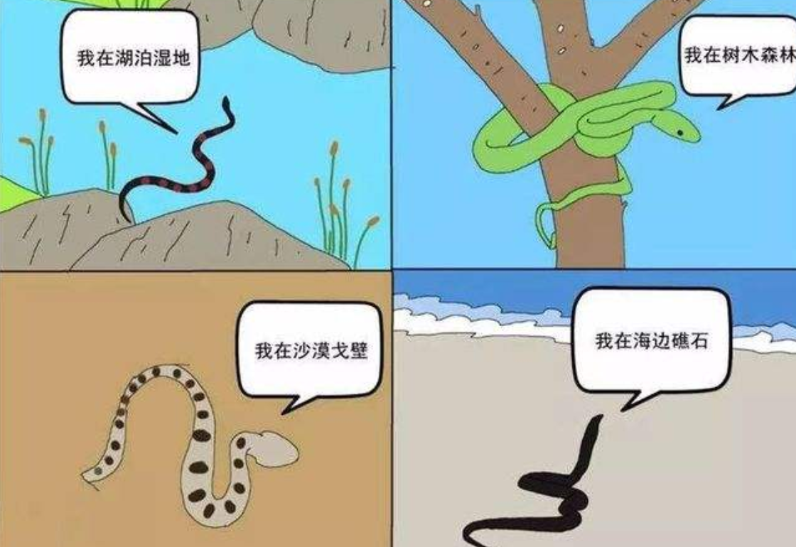 人类真的天生就害怕蛇吗?科学家:从婴儿身上找到了答案