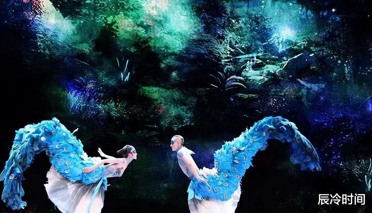 舞蹈演员王迪去世，杨丽萍朋友圈悼念，曾春晚合作演出《雀之恋》