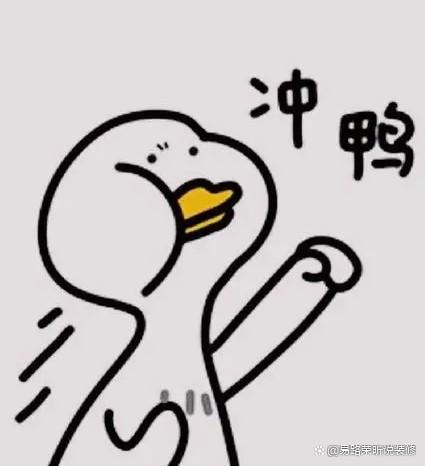 选装修公司or独立设计师?新手向装修攻略