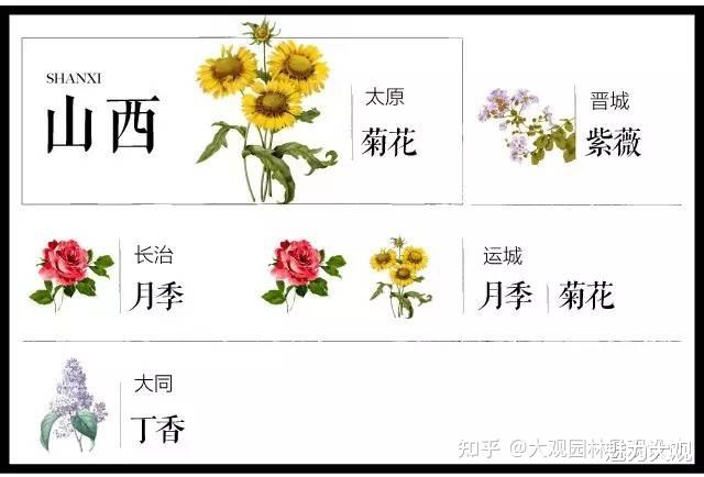 史上最全中国各城市·市花