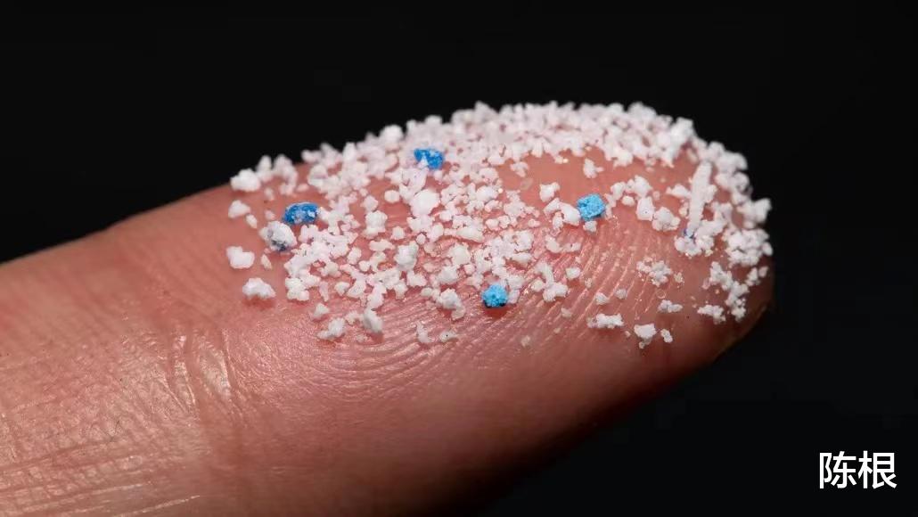 微塑料|陈根:每人每周摄入的5克微塑料,正在掀起一场健康危机