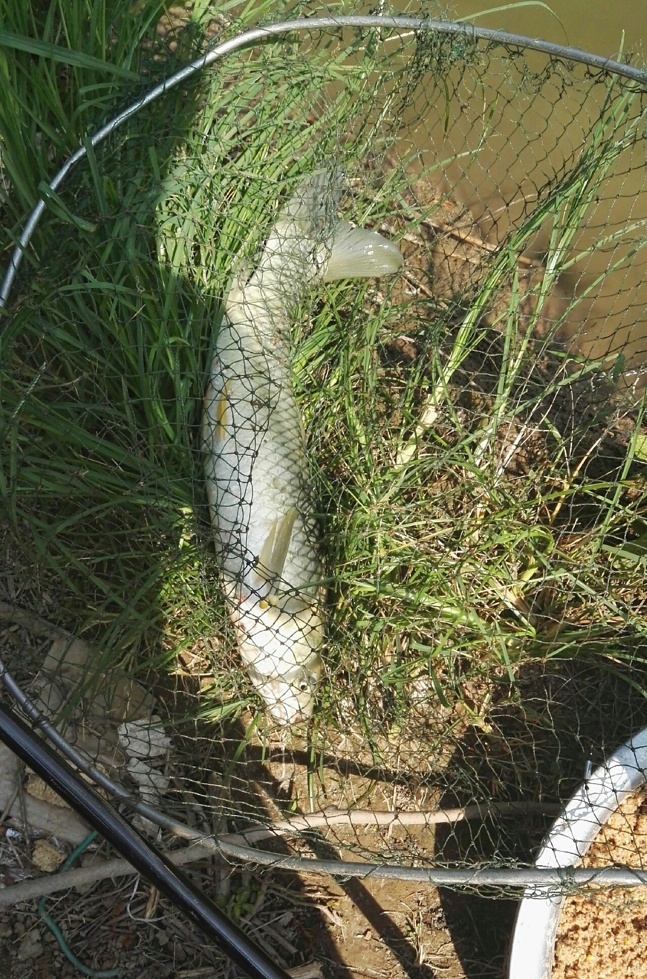 |来看钓鱼人的一周,外表枯燥无味,实则活力无限