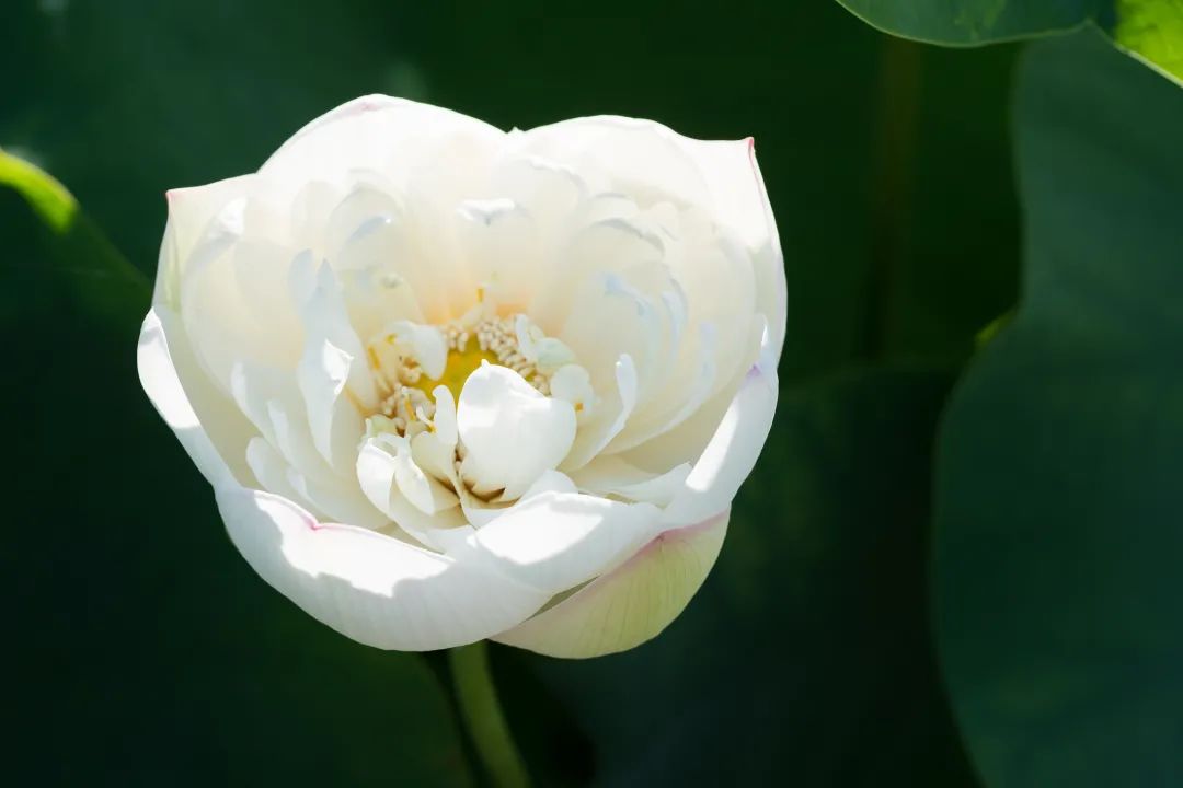 陈道明|干净,是一个人最好的样子