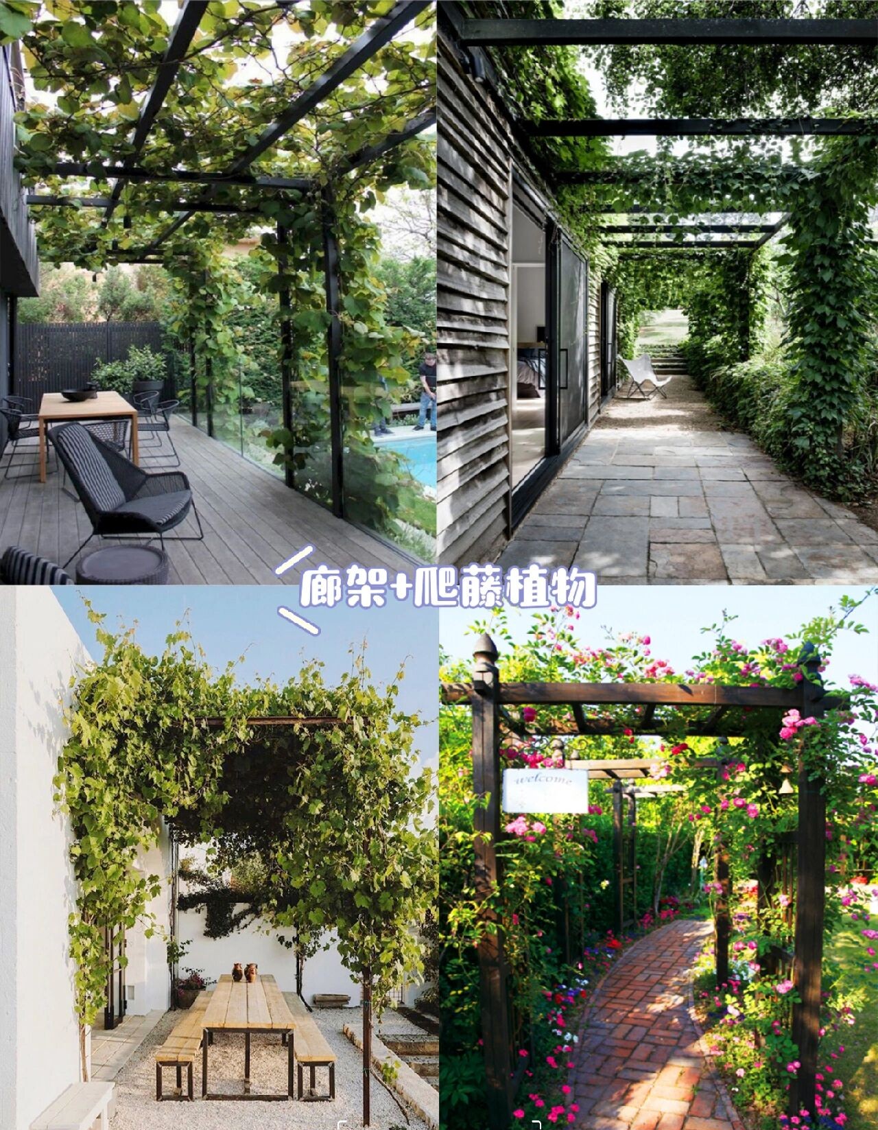 花园廊架合集:花园里必须安装一个廊架,增加美感的同时又很实用
