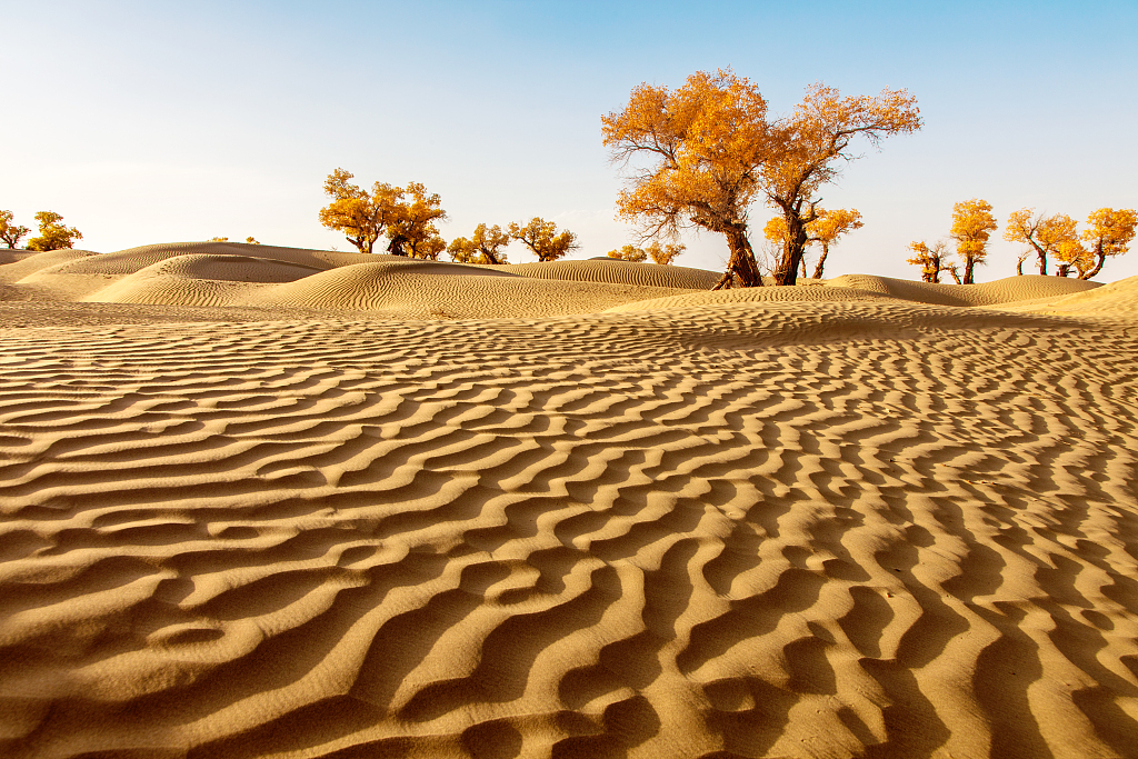 地质公园|我国最美的五大沙漠，你去过几个呢？
