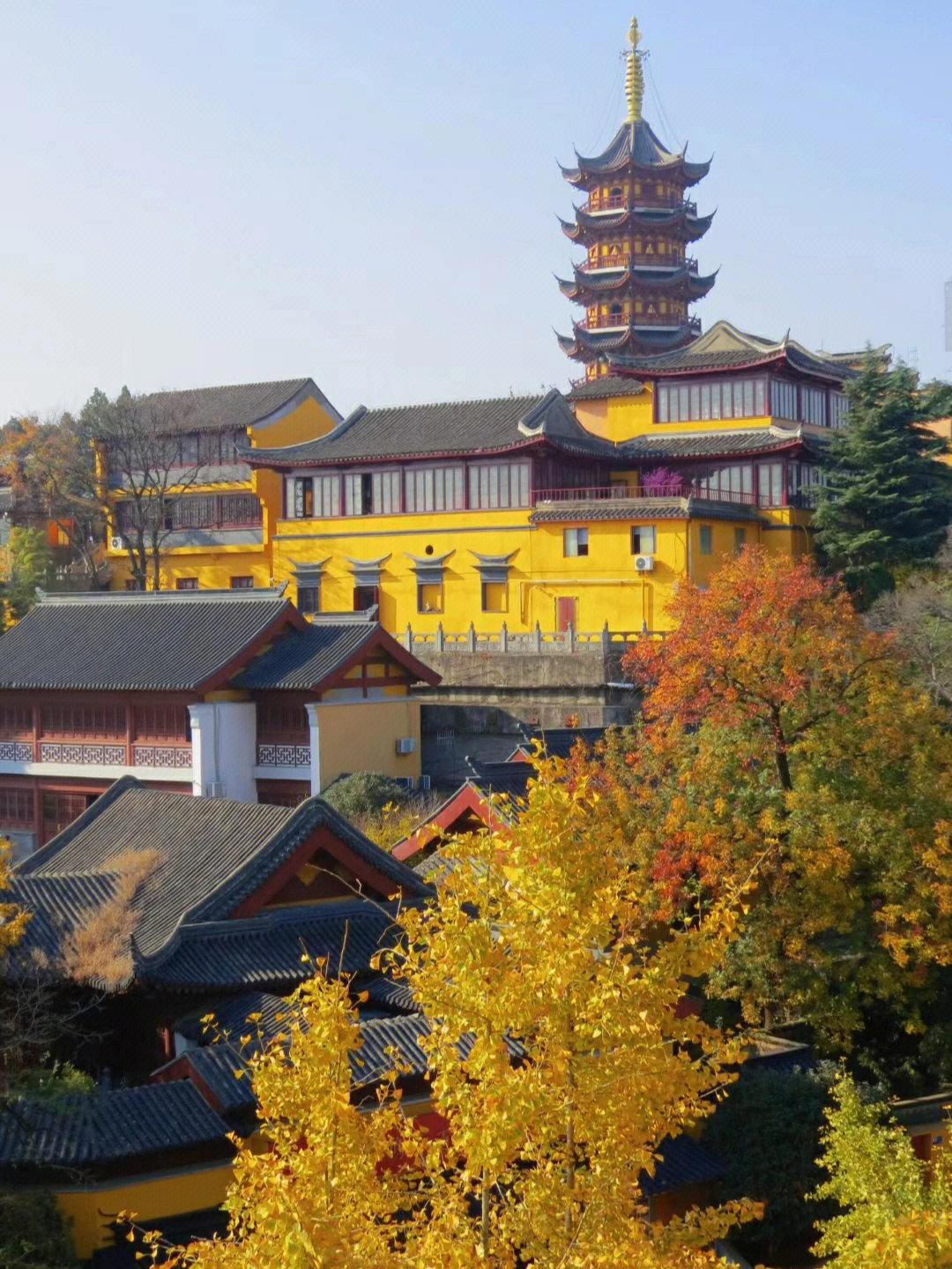 马尔代夫|南京秋天7个银杏打卡地，个个绝美