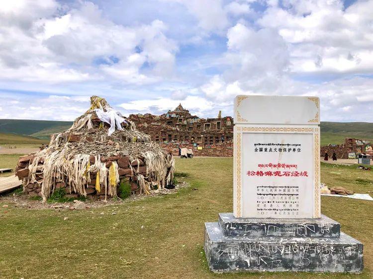 |这个夏天，我和青川秘境，来了一场约会！
