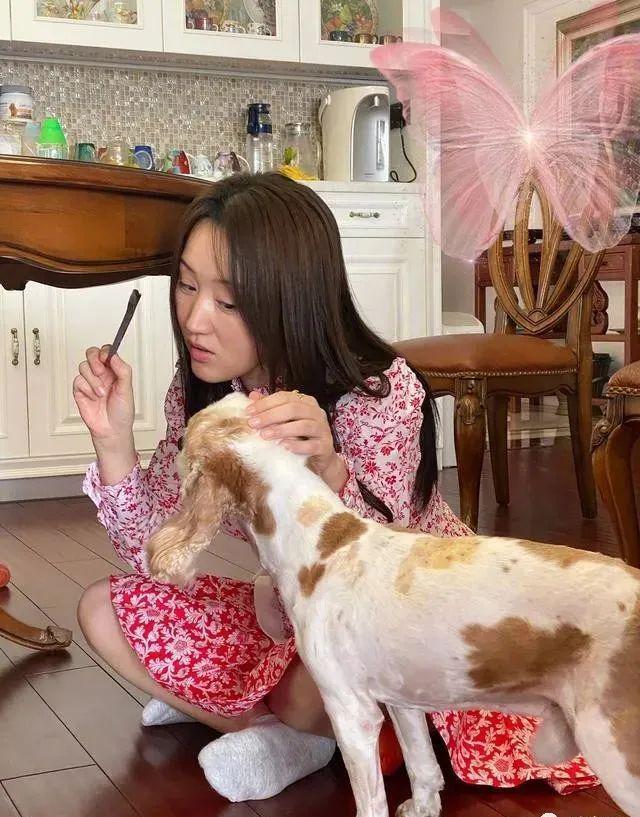 杨钰莹|杨钰莹现身乡镇商演,穿“蝴蝶裙”卖力表演,微胖身材很迷人