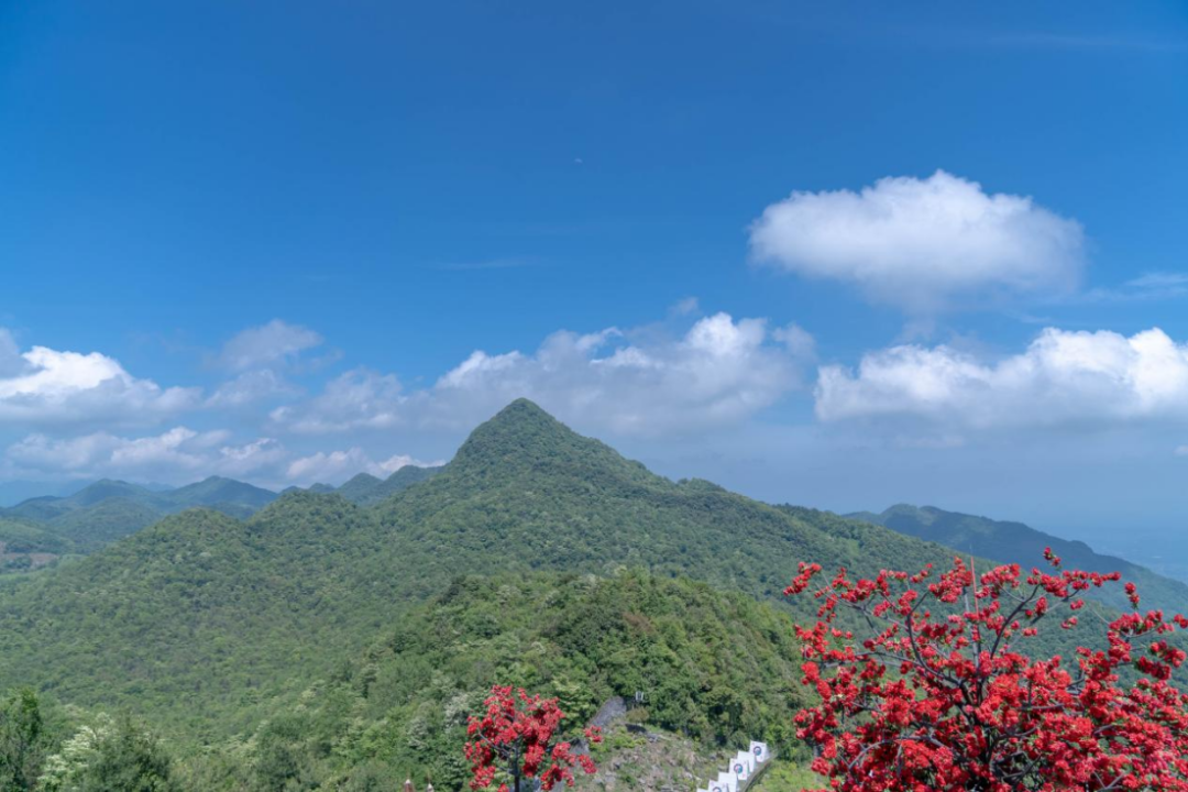 安徽|假日“露营游”，周末短途游成新时尚