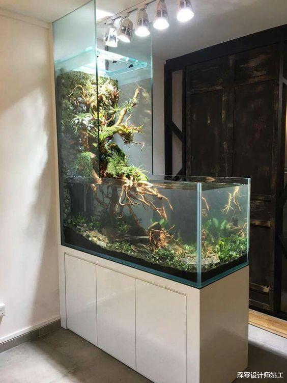 如今一个比一个会装修,喜欢养鱼或海洋的,家里6处试用水族箱端景