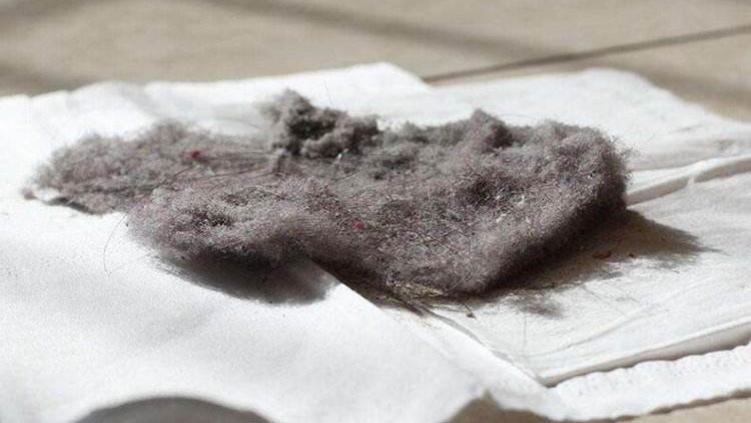 为什么家里天天清洁，还总是出现“毛絮”，有啥解决办法