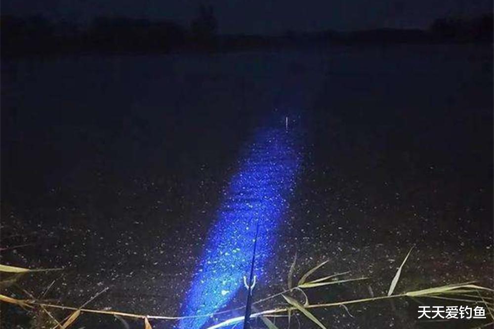 |盛夏钓鱼,白天不如夜钓,记住夜钓2选3不选,狂拉大鱼到手酸