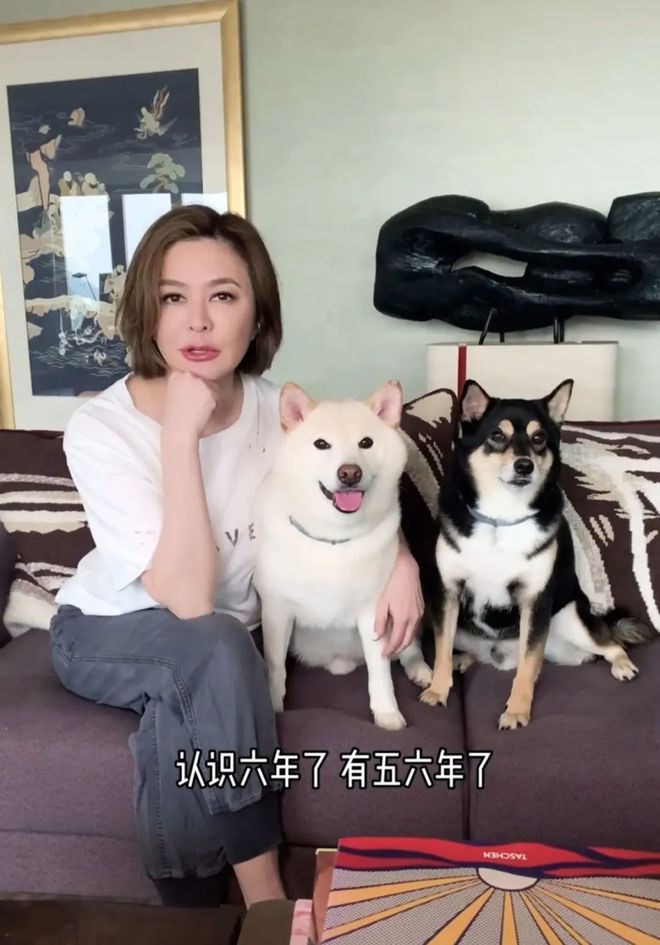 蔡琴|至今没生孩子的11位中老年女星，独居遗憾，亿万身家没子女继承