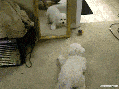 面粉|为什么脱下的袜子里面为什么总有面粉