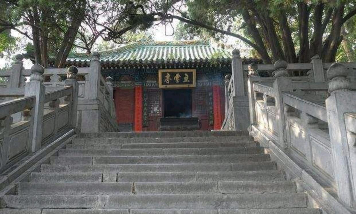 河南|法国游客到河南“少林寺”的游玩感受:门票数十元,感觉很疑惑!