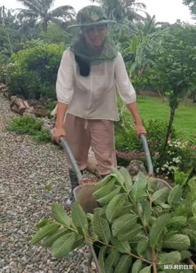 田丽|金钟视后田丽曝近况，两段婚姻失败后单身一人，或来内地直播卖货