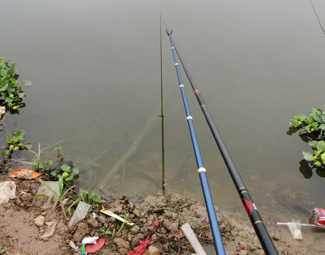 |新手钓鱼注意几点,事倍功半,从此不再被割韭菜