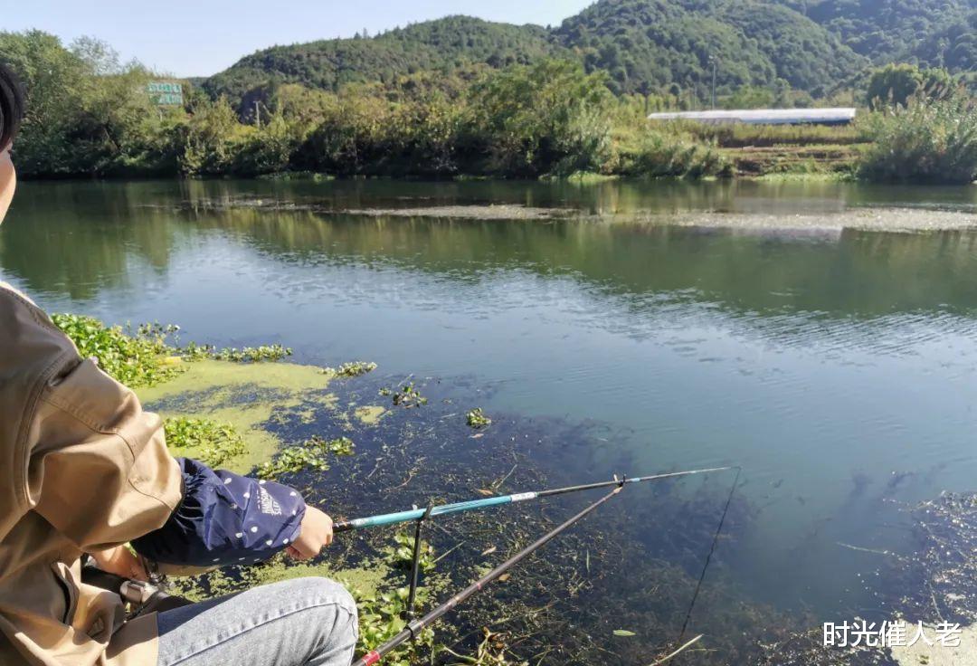 科大讯飞|听我一句劝,这3类人真不适合钓大鱼,损失窝料还浪费了时间