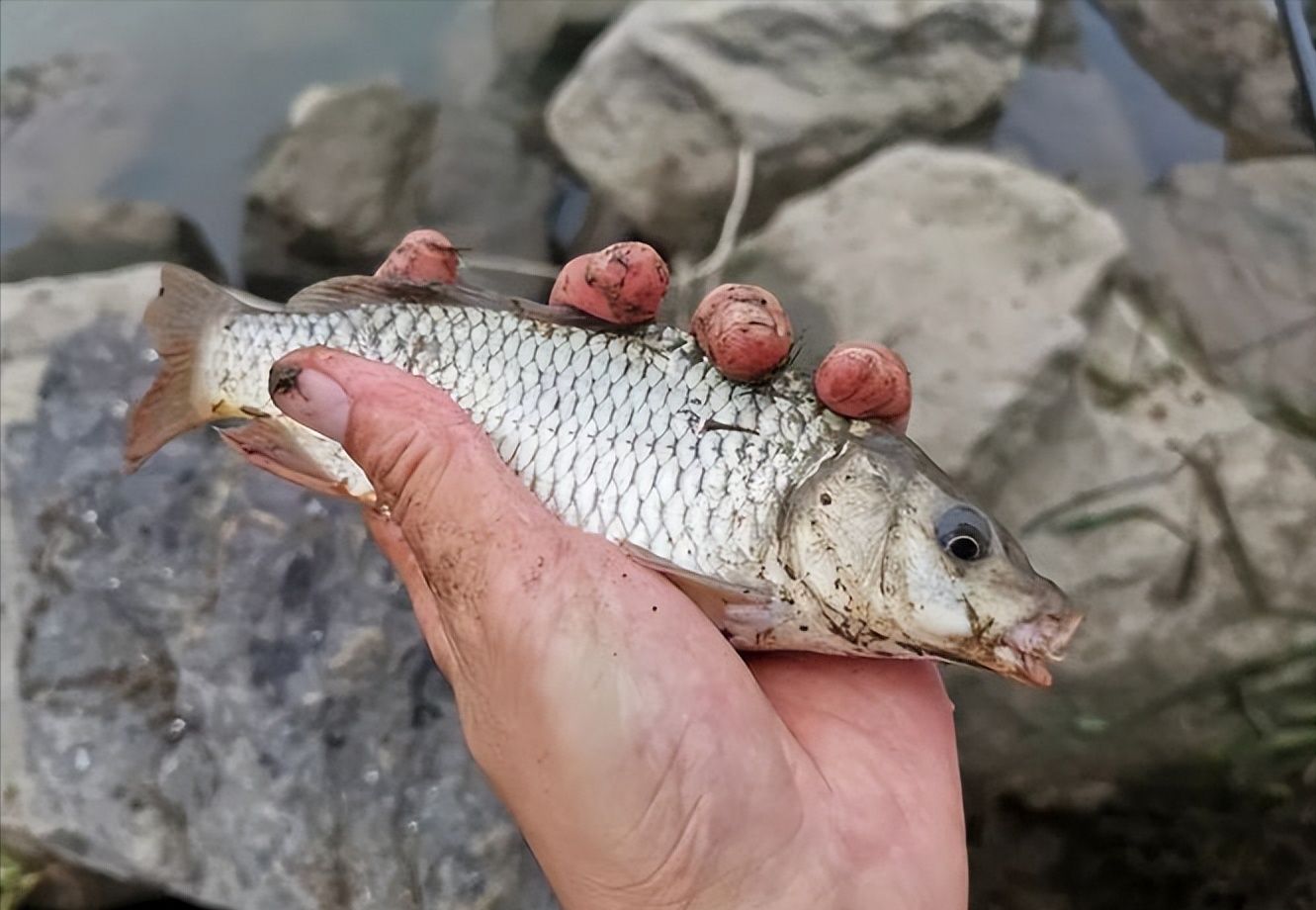大板|大雪过后的冬钓，我们需要面对哪些痛点？