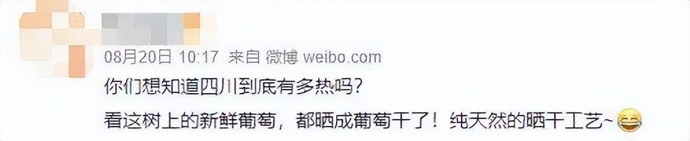 年度最恶心热搜!“红油锅底”被嘲上榜,打破道德底线,惹怒全网