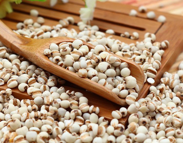 薏米|薏米是个好东西，6种人最适合，看你会不会用（三十年中医讲）