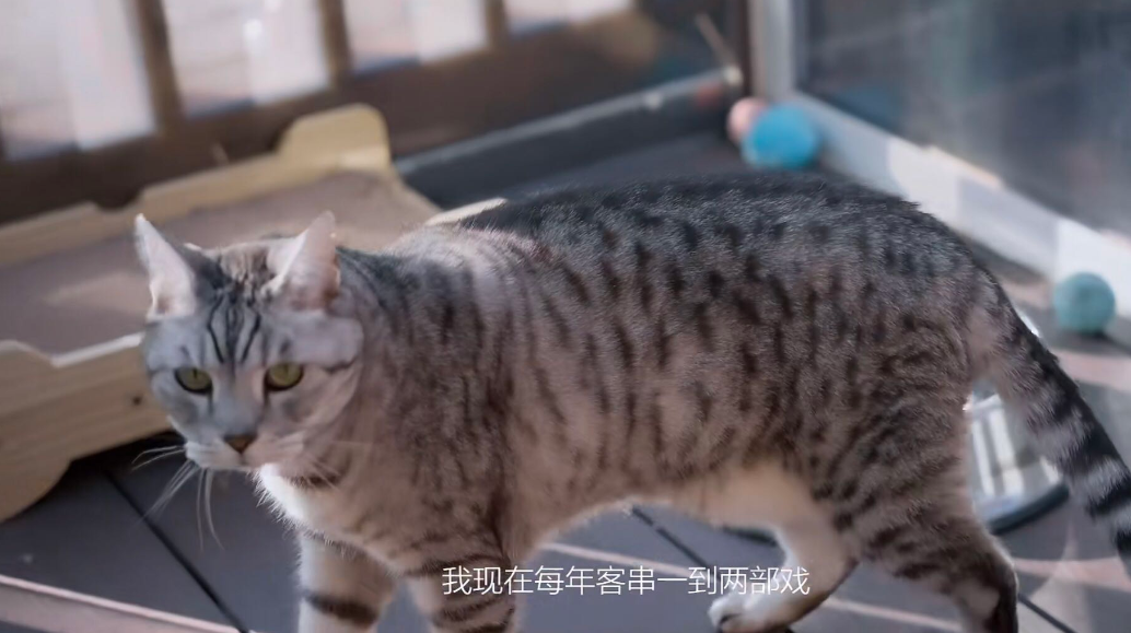 江玉燕|团灭主角的“江玉燕”直播，被指脸部僵硬，怒怼网友：不看出去