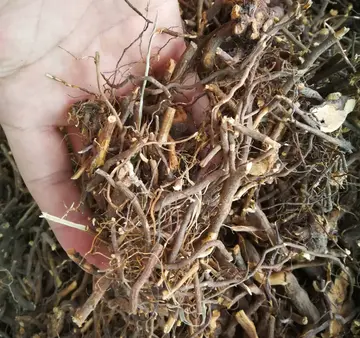 胆结石|患有胆结石的人要注意了,这3种方法排石非常简单