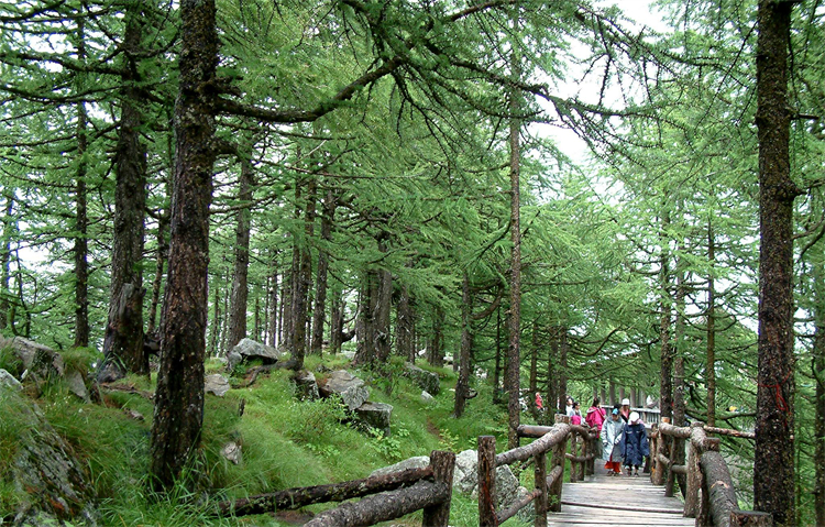 宝鸡|陕西这座宝藏城市，藏着19℃的夏天，满城的文物古迹，早该火了！
