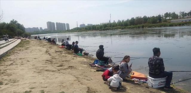 大板|河南一河道成天然黑坑，有人拖家带口来垂钓，网友：鱼犯天条了