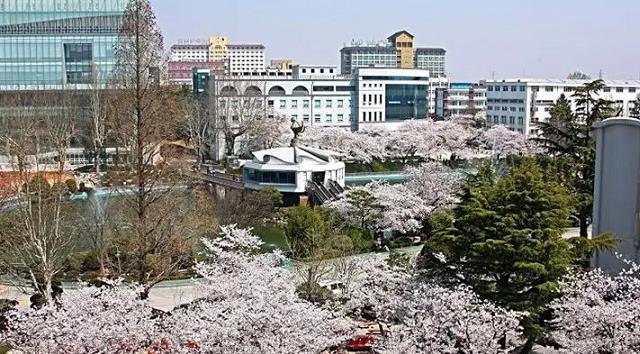 贵州|高校招聘教师，韩国博士为何成了“香饽饽”？