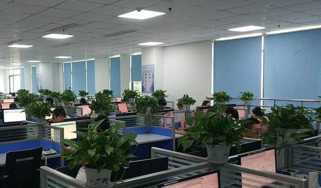 客服|10086客服给我打电话？可能与这些原因有关，没必要担心这些