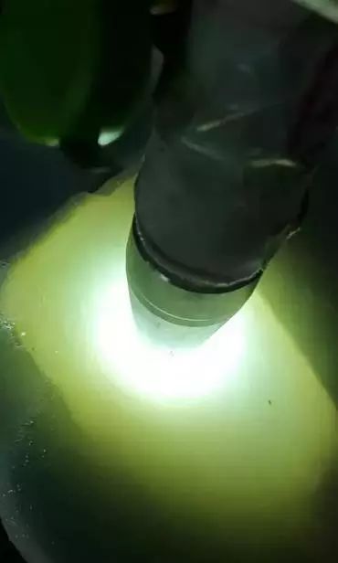 翡翠|只有帝王绿翡翠才价值连城?这块石头啥色都没,照样切涨100倍!