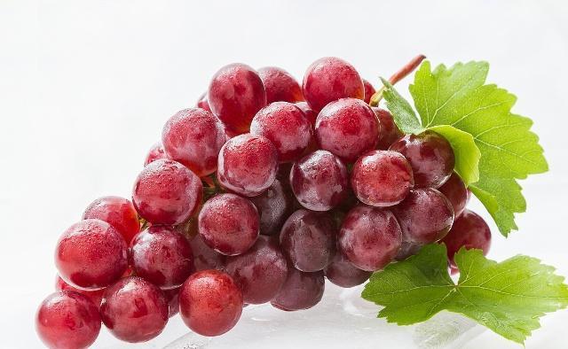 黑豆|女人常吃十种食物，40岁仍是少女脸，气色好显年轻，化妆品都省了