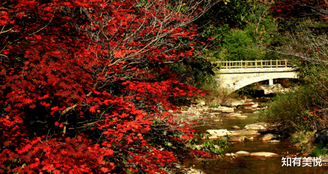 旅行|此生必去一次！国内12个小众旅行地，藏着不输国外的大片级风景。