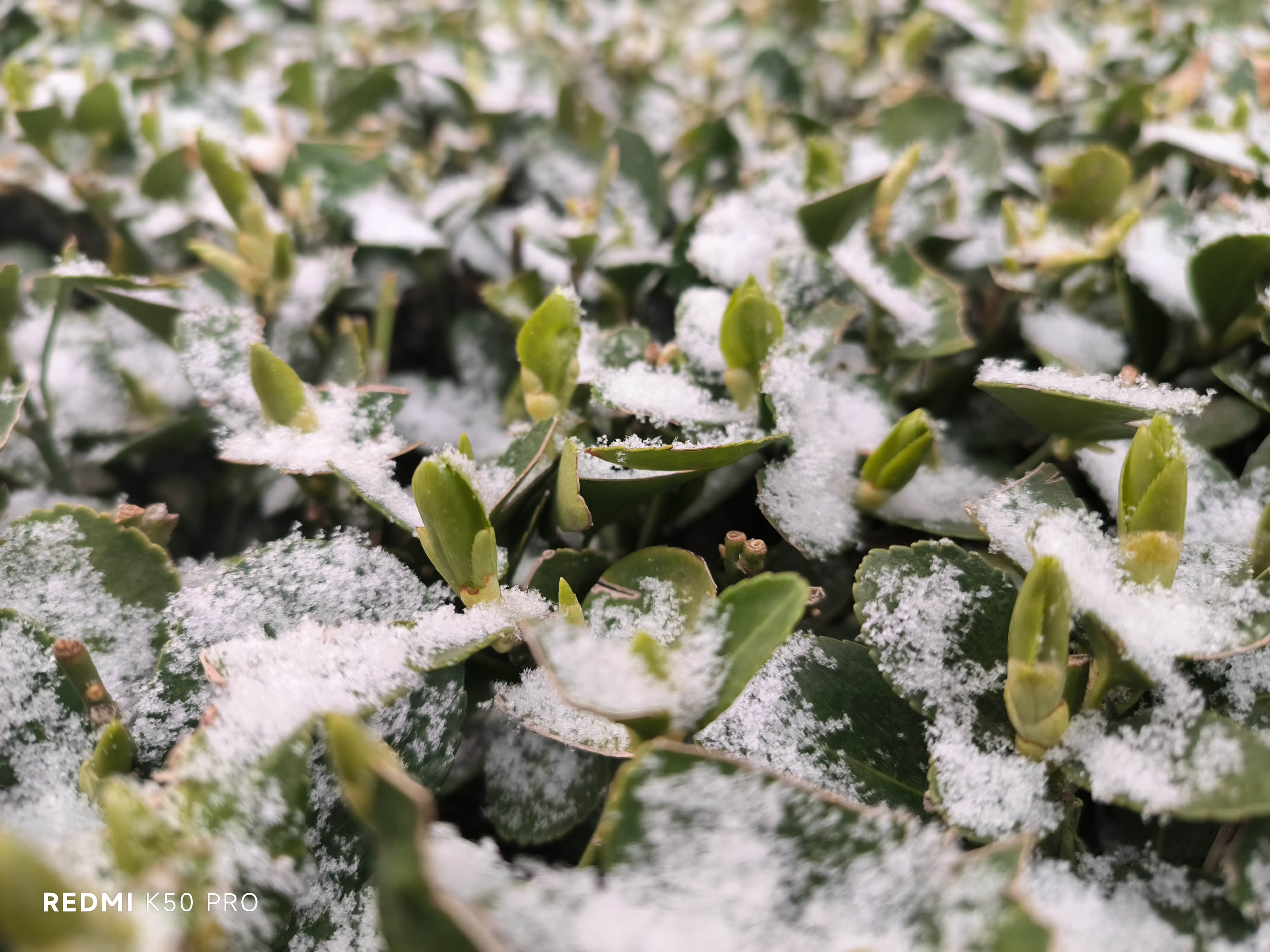 天玑9000|深度体验红米K50 Pro：最妙的不只是天玑9000？