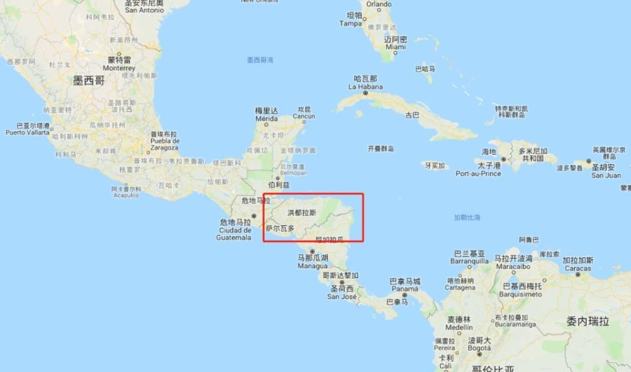 刚挖的水池时间久了,为何就会长出鱼?或与生命起源有直接关系
