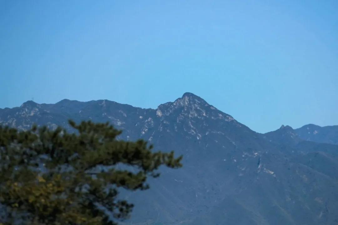 北京市|北京夫妻的12年极简人生：房子素极了，却美到让人羡慕