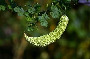 穴位|血糖高,眼先知,若眼睛上没有这3个表现,恭喜,血管还算平稳!